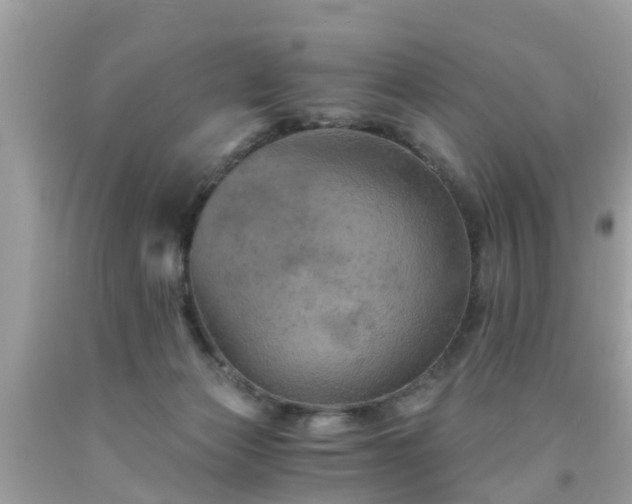 X0000092000173200709131521