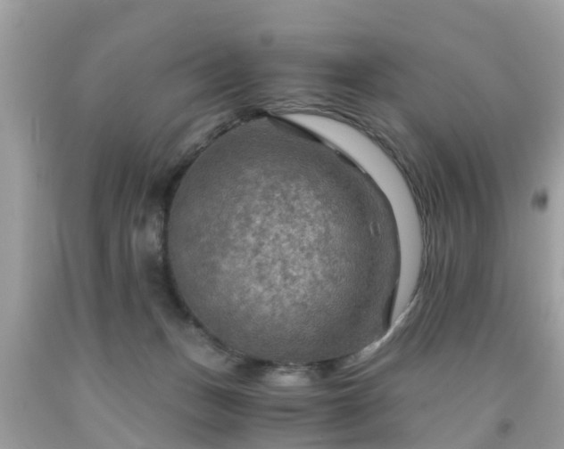 X0000092000175200709131521