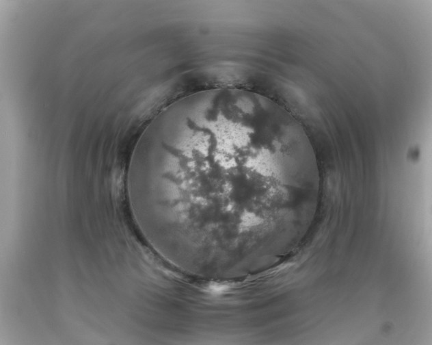 X0000092000177200709131521