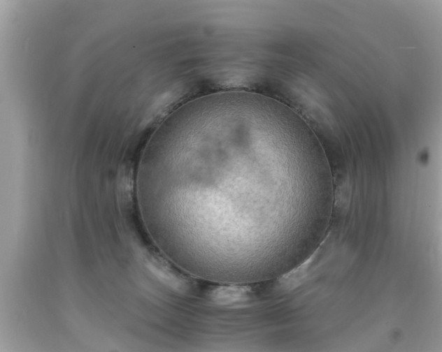 X0000092000179200709131521