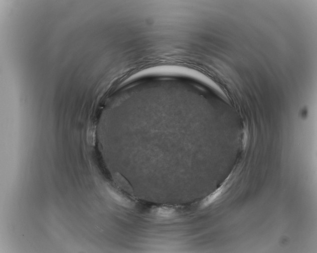 X0000092000180200709131521