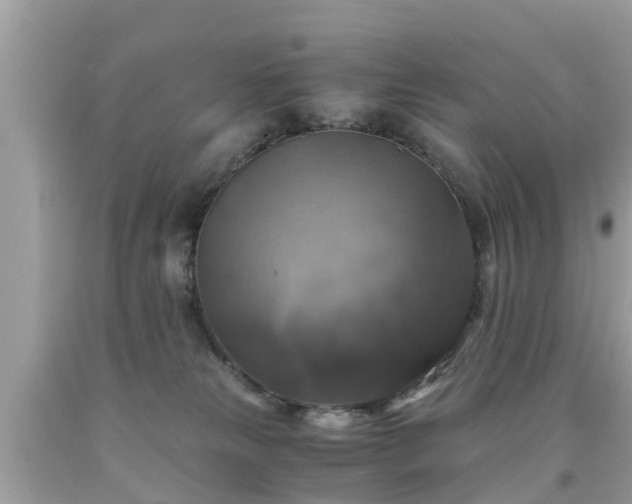 X0000092000181200709131521