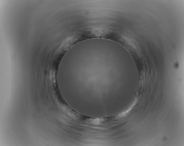 X0000092000182200709131521