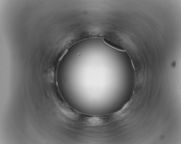 X0000092000183200709131521