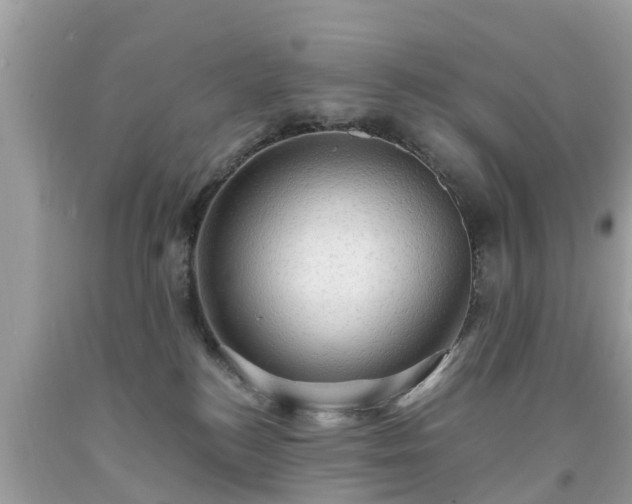 X0000092000184200709131521