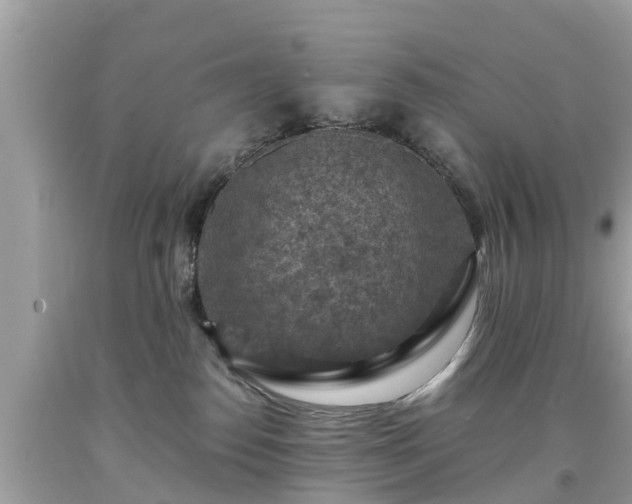 X0000092000186200709131521