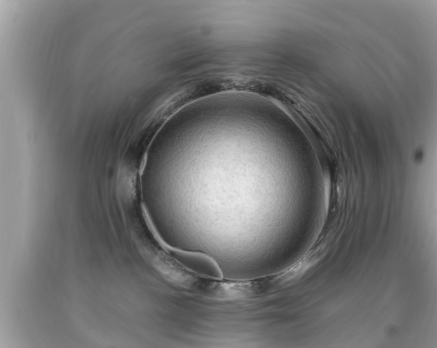 X0000092000188200709131521