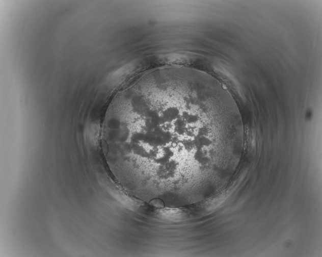 X0000092000189200709131521