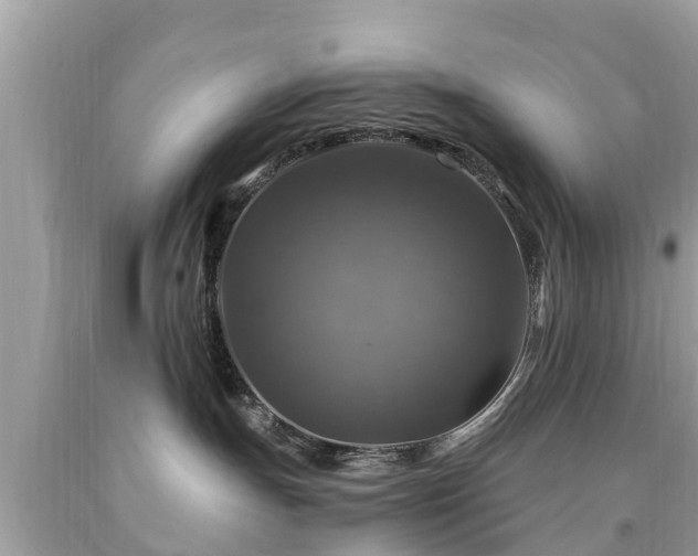 X0000092000191200709131521