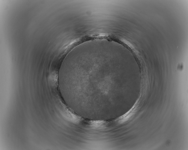 X0000092000192200709131521