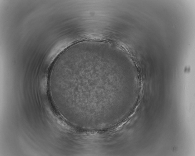 X0000092000194200709131521