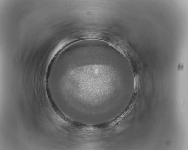 X0000092000195200709131521