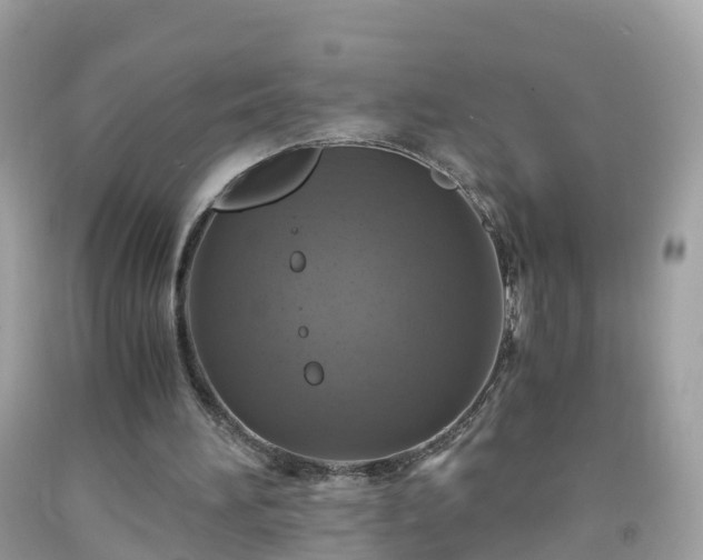 X0000092000196200709131521