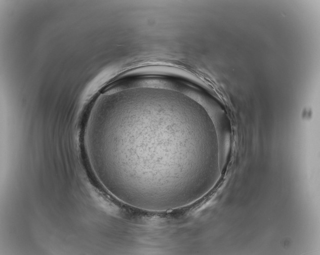 X0000092000197200709131521