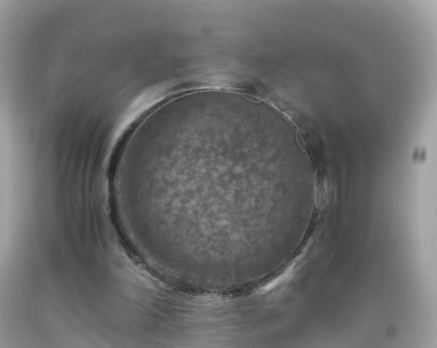 X0000092000198200709131521