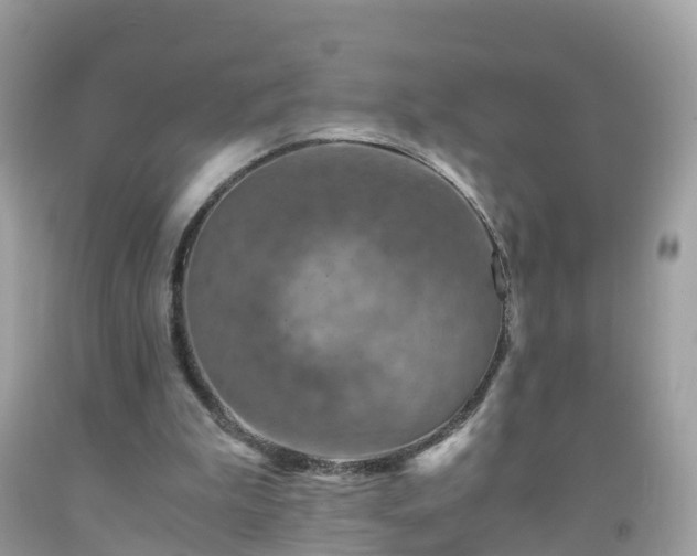 X0000092000199200709131521