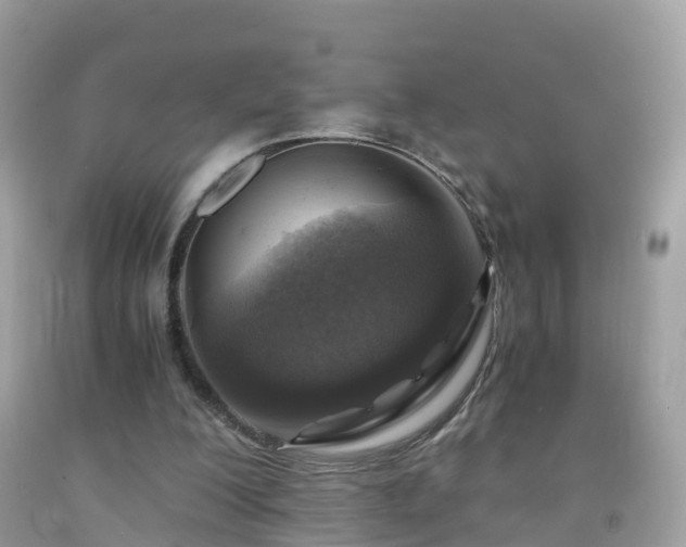 X0000092000200200709131521