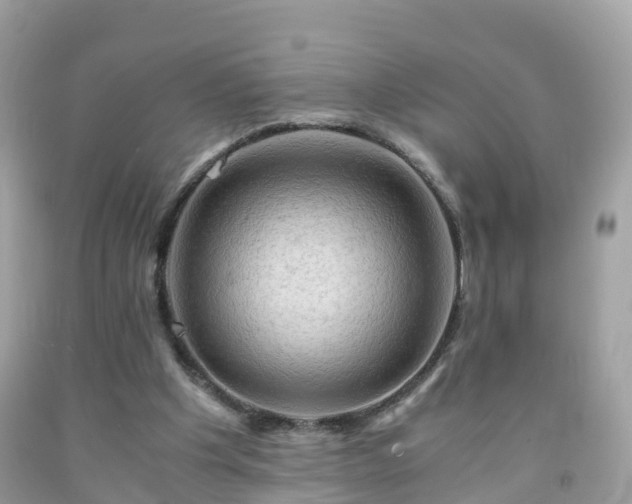 X0000092000201200709131521