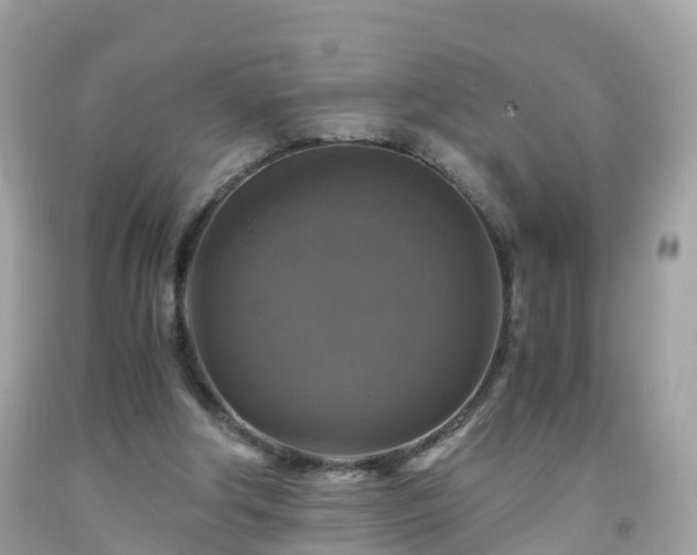 X0000092000202200709131521