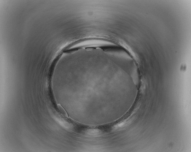 X0000092000203200709131521