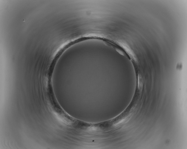 X0000092000204200709131521