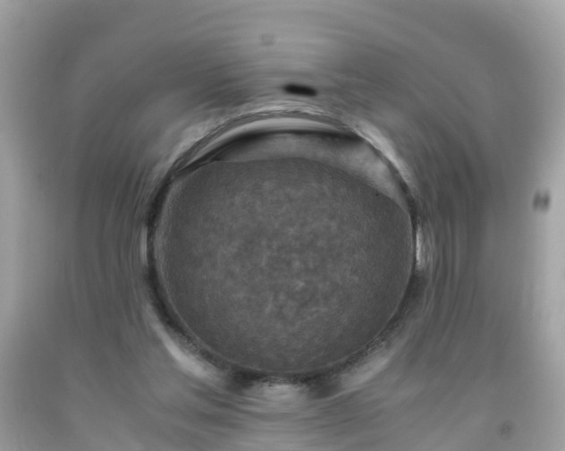 X0000092000205200709131521