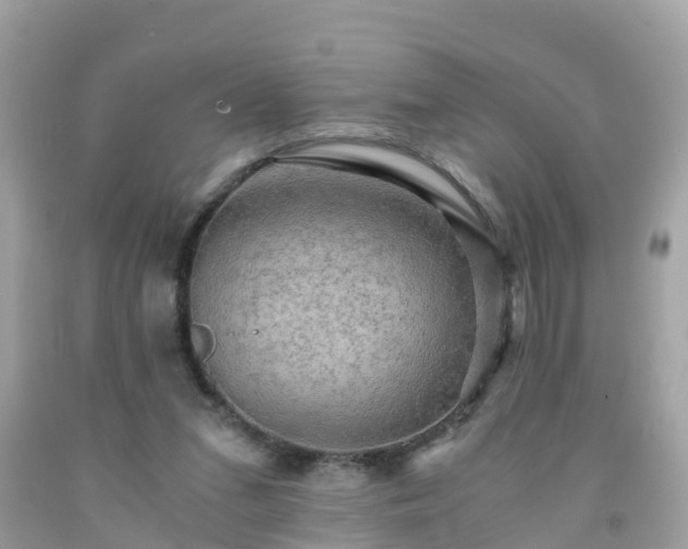 X0000092000207200709131521