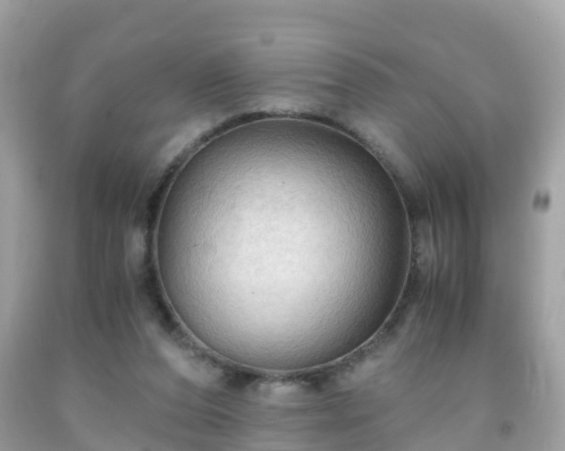 X0000092000208200709131521