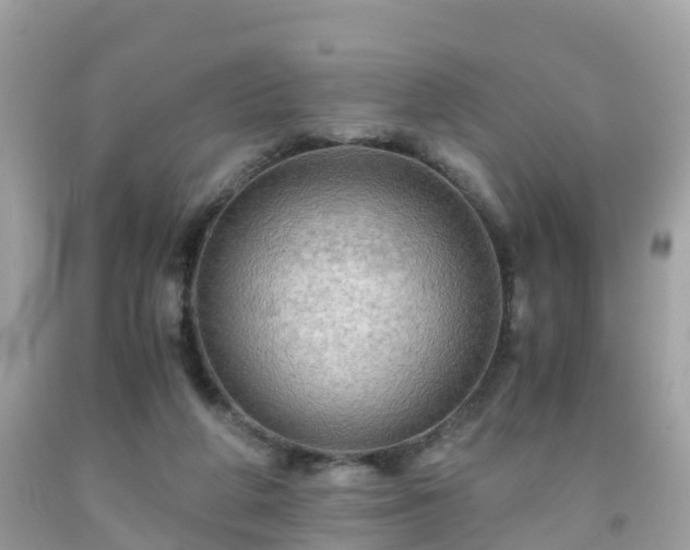 X0000092000210200709131521