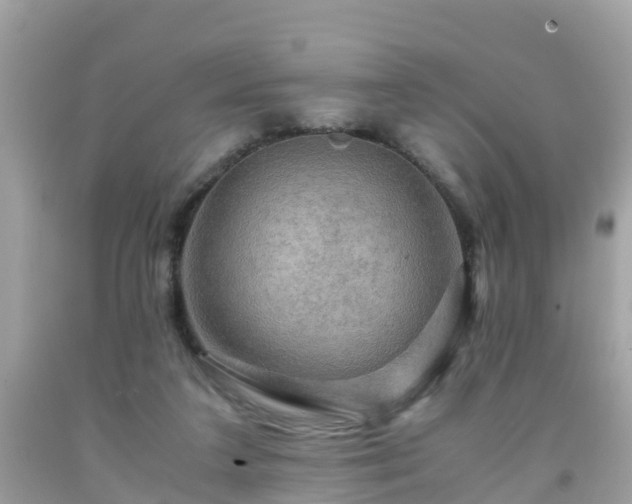 X0000092000211200709131521