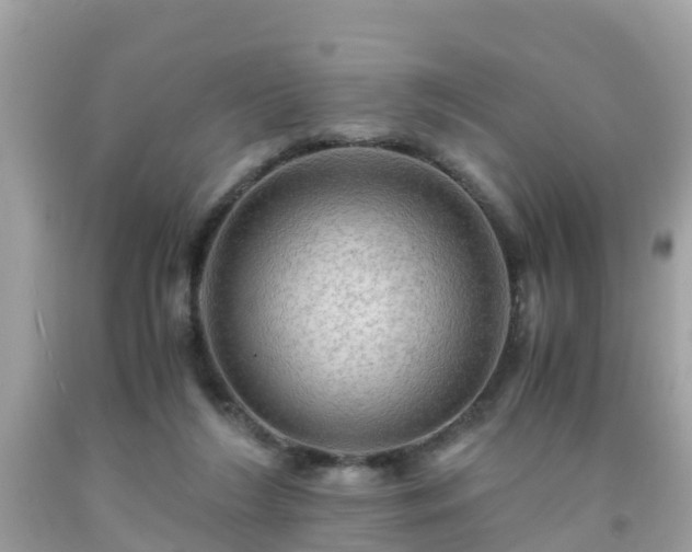 X0000092000212200709131521