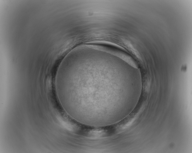 X0000092000213200709131521