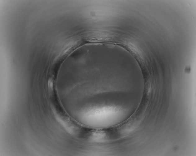 X0000092000214200709131521