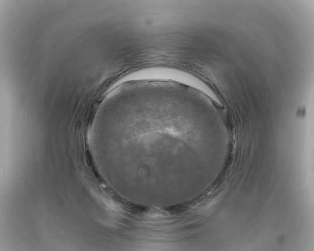 X0000092000215200709131521