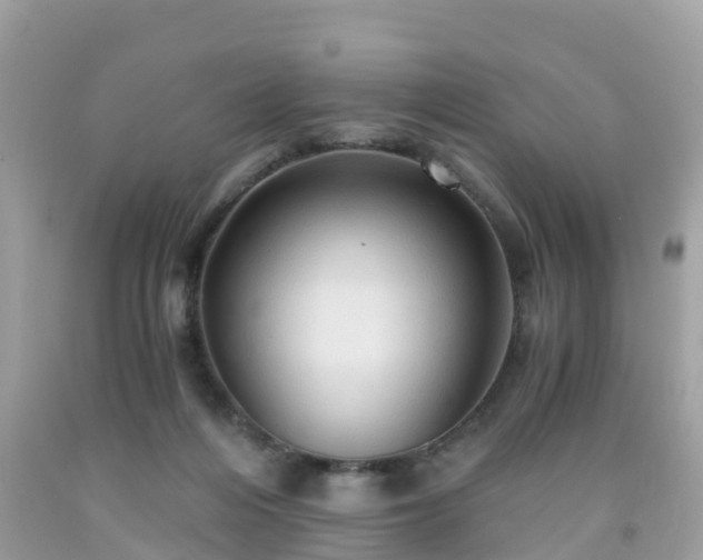 X0000092000216200709131521