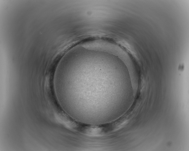 X0000092000217200709131521