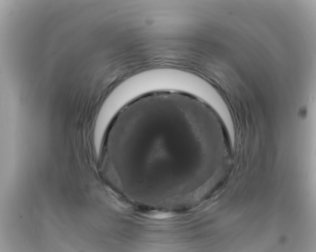 X0000092000219200709131521