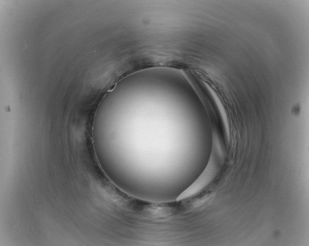 X0000092000221200709131521