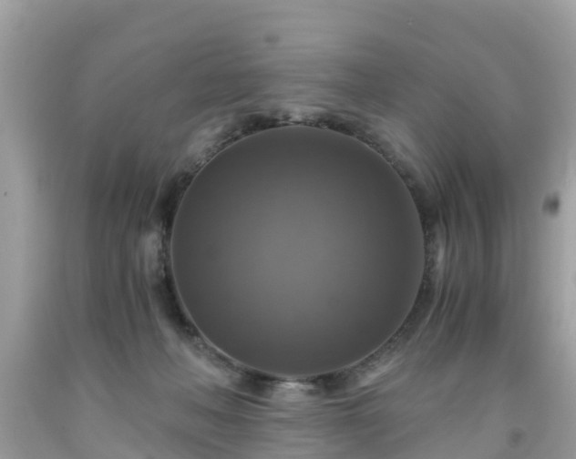 X0000092000222200709131520