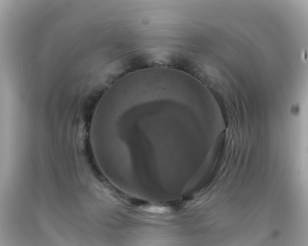 X0000092000223200709131520