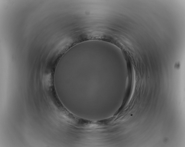 X0000092000224200709131520