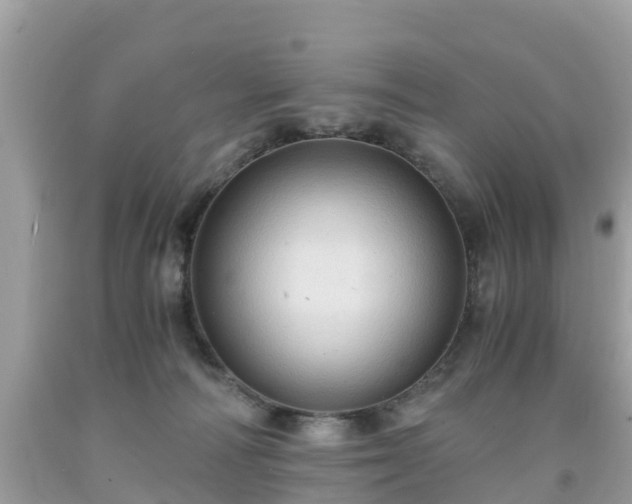 X0000092000226200709131520