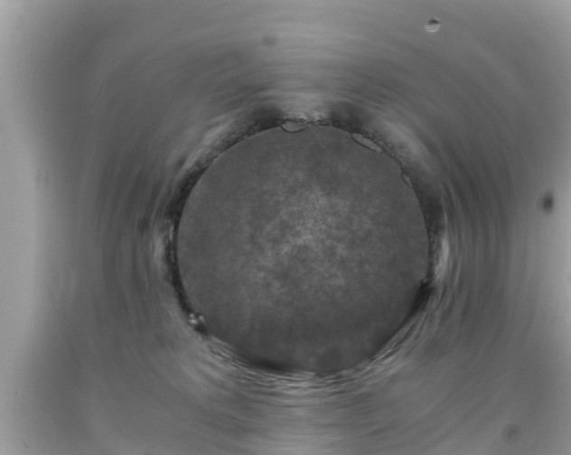 X0000092000229200709131520