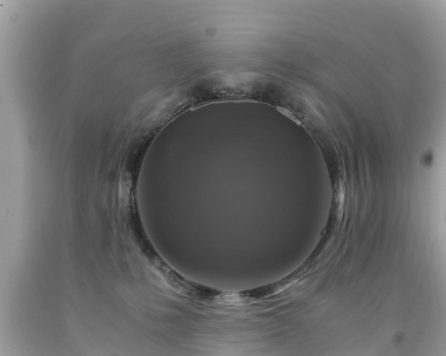 X0000092000231200709131520