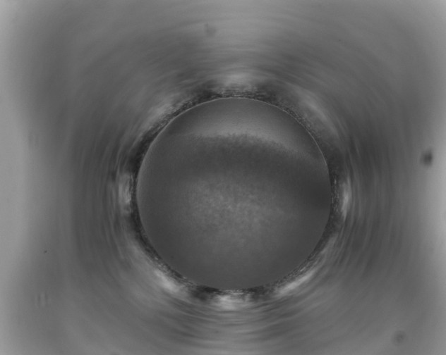 X0000092000232200709131520