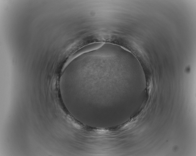 X0000092000233200709131520