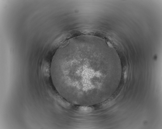 X0000092000234200709131520