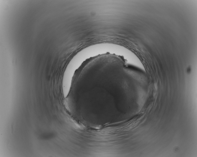 X0000092000235200709131520