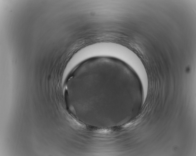 X0000092000237200709131520