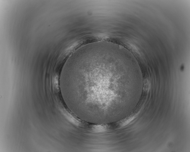 X0000092000238200709131520